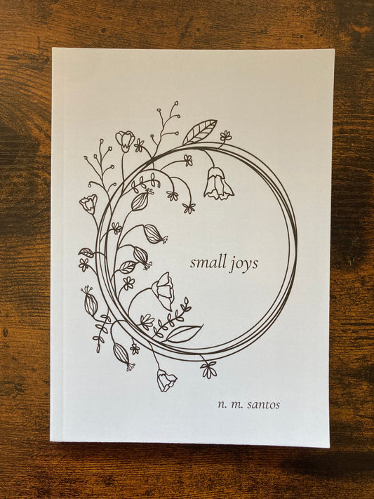 small joys (2025)